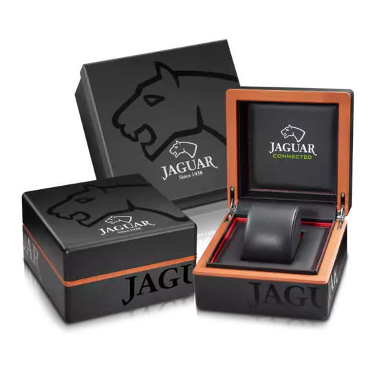 JAGUAR MEN'S BLUE CONNECTED STAINLESS STEEL J889/1